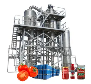 Tomate fresco para hacer pasta de tomate enlatada/salsa/ketchup de la línea de producción de la máquina de procesamiento