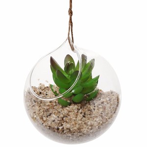 <span class=keywords><strong>Vase</strong></span> à fleurs de terrarium en <span class=keywords><strong>verre</strong></span> soufflé, <span class=keywords><strong>vase</strong></span> à fond <span class=keywords><strong>rond</strong></span>, bouche Offre Spéciale - Product Image 5