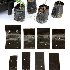 Bac de culture en plastique opp, poly noir, pots de plantes, sacs pour pépinière de légumes - Product Image 4