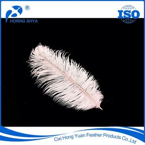 Parte superior de caliente-venta de <span class=keywords><strong>la</strong></span> fábrica de varios tipos de excelente calidad plumas de avestruz - Product Image 4
