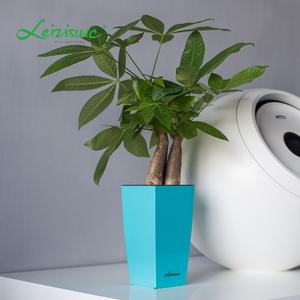 Leizisure Office Table Plastic Mini Small Tall Square Maceta para plantas con autorretrato, Macetero, Maceta - Product Image 4