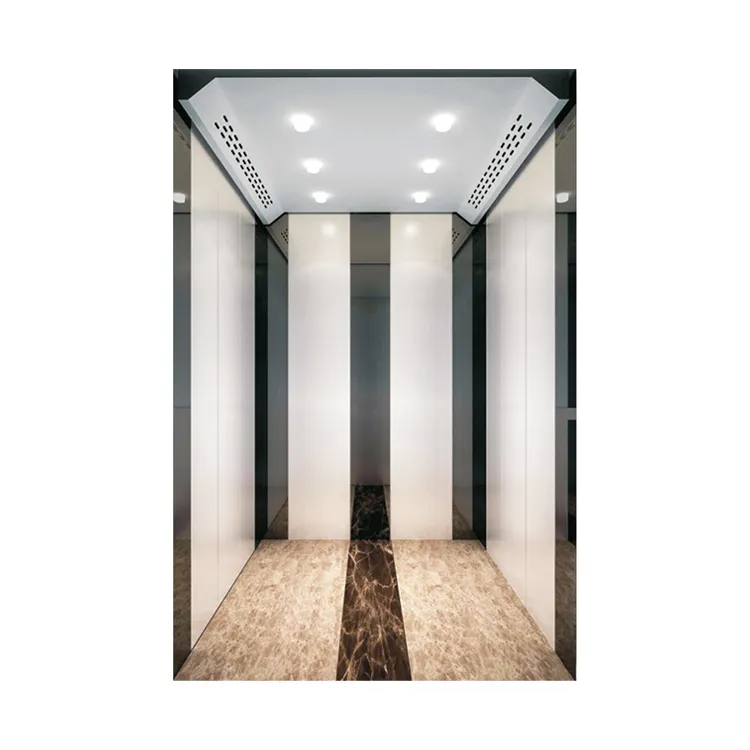 Passenger Lift Elevator for Apartments Hotels Railway Stations Metro Station Subway station
