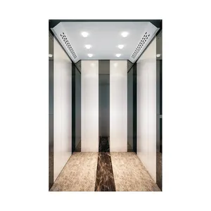 Passenger Lift Elevator for Apartments Hotels Railway Stations Metro Station Subway station