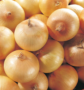 Hành Tươi Màu Vàng - Product Image 2