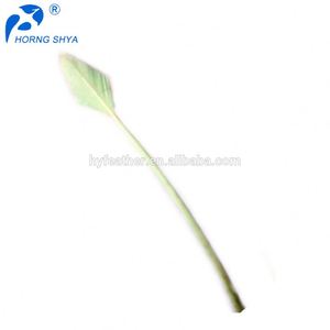 Alibaba Offre Spéciale 10-13 pouces Garnis Turquie Piquants Teints Plumes de Flèche - Product Image 2