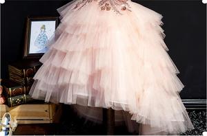 2019 mode USA queue de poisson bébé fille robe de soirée broderie longue Type Boutique petite fille <span class=keywords><strong>jolie</strong></span> robe - Product Image 5