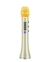 Microphone sans fil portable professionnel rechargeable Dewant L-698DSP 20W DSP avec haut-parleur