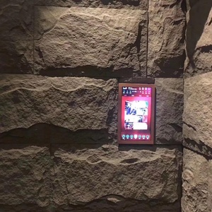 Faux DELL'UNITÀ di ELABORAZIONE impermeabile rivestimento impiallacciatura di pietra con il bello disegno dalla Cina