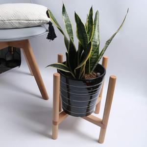 <span class=keywords><strong>Support</strong></span> <span class=keywords><strong>de</strong></span> pot <span class=keywords><strong>de</strong></span> fleurs, présentoir pour <span class=keywords><strong>plantes</strong></span> en pot, <span class=keywords><strong>support</strong></span> en bois pour <span class=keywords><strong>plantes</strong></span> d'intérieur et d'<span class=keywords><strong>extérieur</strong></span>, utilisé avec des <span class=keywords><strong>plantes</strong></span> vertes, bois <span class=keywords><strong>de</strong></span> hêtre, sol - Product Image 5