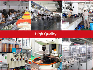 LP1-D Loạt Lc13210 32amp 110V 3 Cực 12V 24V 220V 110V 380V DC Contactor 48V - Product Image 6