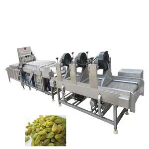 Stainless steel food factory equipment vegetable raisin processing line