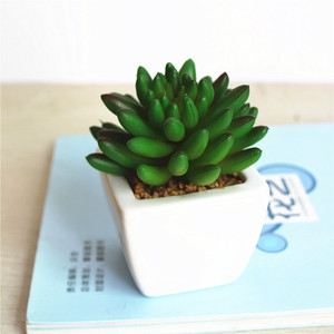 Mini Naturale Reale Decorativa Artificiale Piante Succulente - Product Image 2