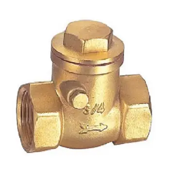 Brass đu kiểm tra van