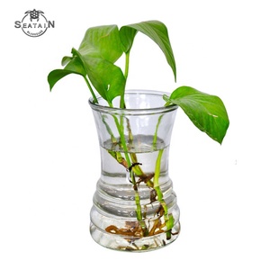 Simple moderno casa planta hidropónica florero de vidrio artesanal <span class=keywords><strong>vas</strong></span> - Product Image 1