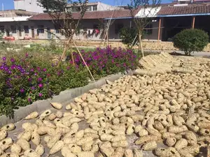 Conjunto de 3 casas de pássaros em forma de tecido, pequena pendurada