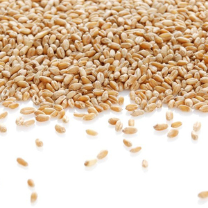 Arroz barato máquina <span class=keywords><strong>de</strong></span> molino <span class=keywords><strong>de</strong></span> maíz/pelar y sémola <span class=keywords><strong>de</strong></span> maíz/máquina <span class=keywords><strong>de</strong></span> uso en el hogar máquina moledora <span class=keywords><strong>de</strong></span> <span class=keywords><strong>harina</strong></span> <span class=keywords><strong>de</strong></span> trigo - Product Image 4