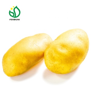 Nouvelle ferme de <span class=keywords><strong>patate</strong></span> douce/patates pelées fraîches - Product Image 1