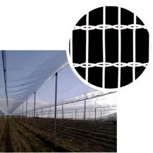 (Fabrik) Transparentes Leno-gestricktes Apfelbaum schutz netz Anti-Hagel-Netz für Obstgärten