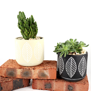 Rond moderne style mat <span class=keywords><strong>balcon</strong></span> jardin décor vivre pot <span class=keywords><strong>de</strong></span> plantes succulentes/terre cuite accueil décoration pots pour plantes - Product Image 5