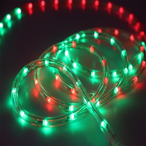 Vendita calda esterna di colore che cambia illuminazione corda luce della corda del led 220v 110v 24v 12v - Product Image 4