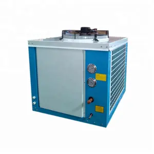 Camera fredda unità di condensazione copeland catalogo bitzer compressore a vite per la refrigerazione