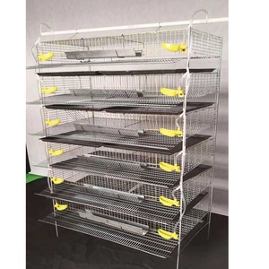 Cages pour <span class=keywords><strong>Caille</strong></span> <span class=keywords><strong>Prix</strong></span> Treillis métallique Cailles Cage Couche Quail - Product Image 1