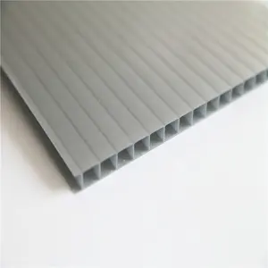 Laagste prijs goedkope gerookte polycarbonaat hollow sheet voor dak