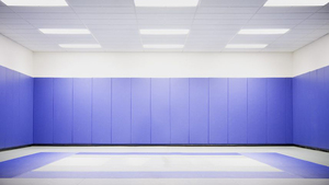 <span class=keywords><strong>Tapete</strong></span> de <span class=keywords><strong>Pared</strong></span> <span class=keywords><strong>para</strong></span> Gimnasio MMA, Protección <span class=keywords><strong>para</strong></span> Colchonetas de Lucha, Acolchado de <span class=keywords><strong>Pared</strong></span> - Product Image 6