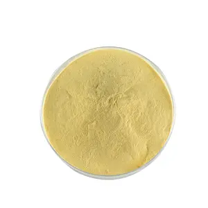 HONGDA Supply 5% 20% 40% Quercetin Powder Onion Powder Onion Extract