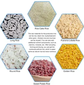 2024 Extrusora dupla rosca Nutricional artificial reforçado arroz processamento linha Artificial arroz planta pronto estoque