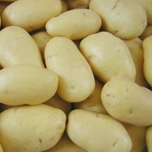 Nouvelle ferme de <span class=keywords><strong>patate</strong></span> douce/patates pelées fraîches - Product Image 4