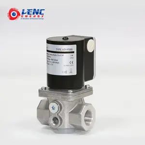 산업 장비 220 v dc gas solenoid valve 전기 (eiffel tower) 자기 밸브