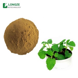 Bột Chanh/Bột Chiết Xuất Chanh - Product Image 5