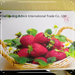 55-98gsm không tráng trái phiếu giấy văn hóa giấy cho in sử dụng công nghiệp - Product Image 5