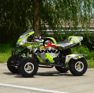 Olahraga Anak-anak Mini Quad ATV 50cc 70cc 80cc