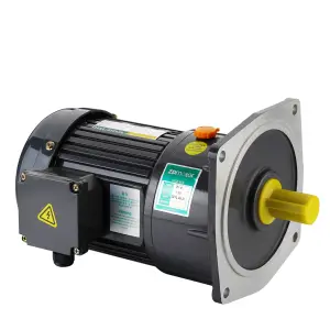 ZD Motor hohes Drehmoment 240 V hohes Drehmoment geräuscharmer kleiner Wechselstrom-Getriebemotor ZH10050SZBG1LDQ1