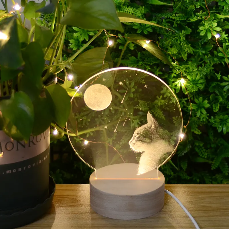 Hot Sale Amazon Colorful Table Night Light Romanic Gift Craft Cat Moon Mood Lamp