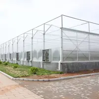 High Light Transmission Greenhouse Glass Panel with 8 mm Polycarbonate Sheet