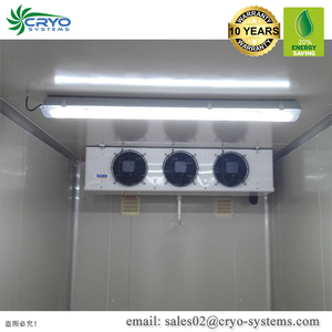 Construcción de proyecto de cámara frigorífica, sistema de cámara de refrigeración en casa para pescado congelado <span class=keywords><strong>a</strong></span> Egipto - Product Image 2