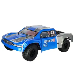 Professional 50 Km/H High Speed Rc Car Manufacturer