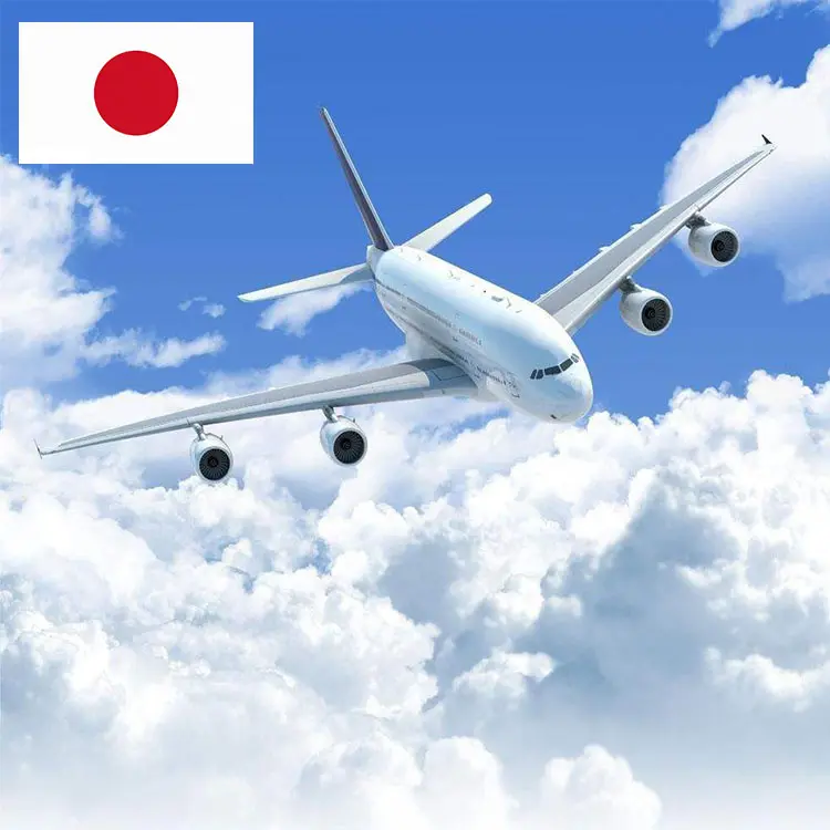 Envío puerta a puerta internacional Deliveri a Japón