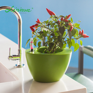 oficina mesa de escritorio barato al por mayor de lujo macetas planta pequeña macetas para plantas suculentas - Product Image 1
