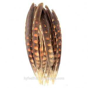 Horng Shya HP-41 <span class=keywords><strong>La</strong></span> <span class=keywords><strong>Vénerie</strong></span> Faisan Aile Piquants Nat.5.5-7in 15 pcs Plumes De Faisan - Product Image 1
