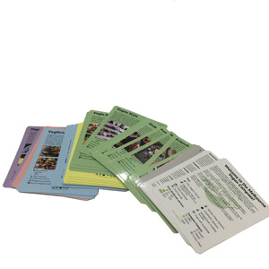 Boîte en carton en papier à couverture rigide imprimée personnalisée Impression <span class=keywords><strong>de</strong></span> cartes à collectionner <span class=keywords><strong>de</strong></span> tarot avec boîte d'emballage - Product Image 2