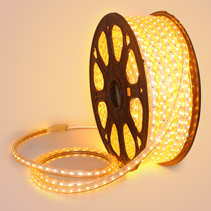 220 V 5050 smd led Luz de tira 60 leds/m bricolaje decoración luces de tira del <span class=keywords><strong>arancel</strong></span> <span class=keywords><strong>aduanero</strong></span> común y regulable de luz RGB de - Product Image 1