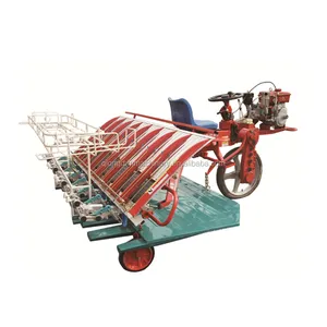 Máquina plantadora de arroz de 8 filas, nuevo diseño, plantador de semillas de arroz, máquina de siembra de semillas de arroz en venta