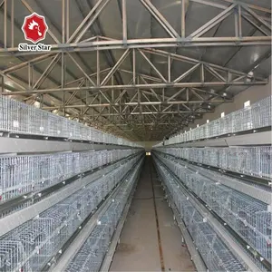 Manufacture automatic poultry cages/battery hen cage /bird cages