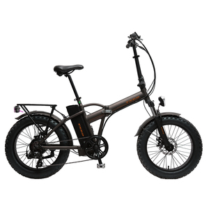 Bicicleta Eléctrica Plegable Popular con Llantas Gruesas de Aleación, 48v 500w - Product Image 1