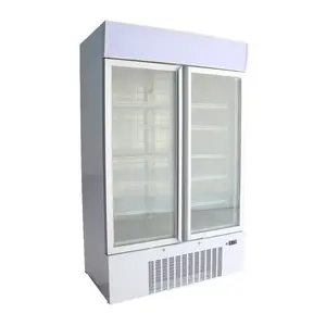 Congelador vertical de baja temperatura, 2 puertas, doble puerta, dos puertas de cristal, sin escarcha, propano, R404a