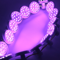 Lumière d'amusement à LED RGB programmée automatiquement AC24V, cabochon LED 60 mm, pixel 16 LED